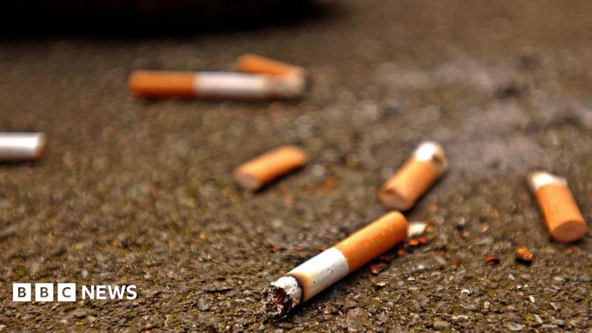 Drivers fined for flicking cigarette butts in Ipswich