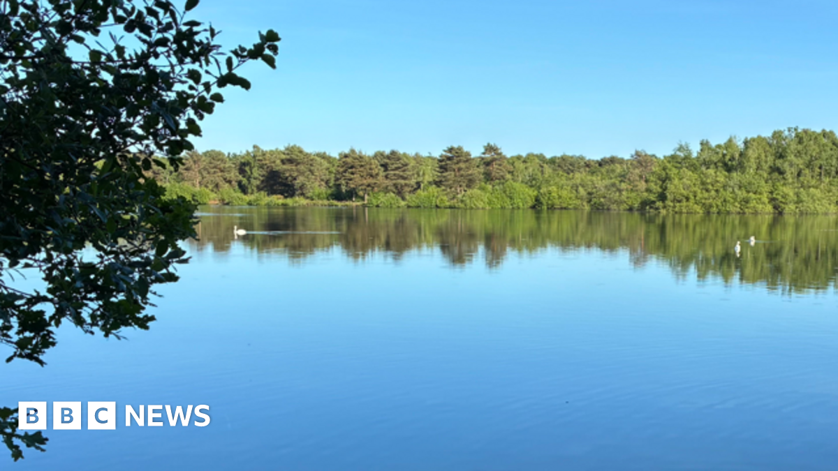 Body found after boy, 15, goes missing in nature reserve lake