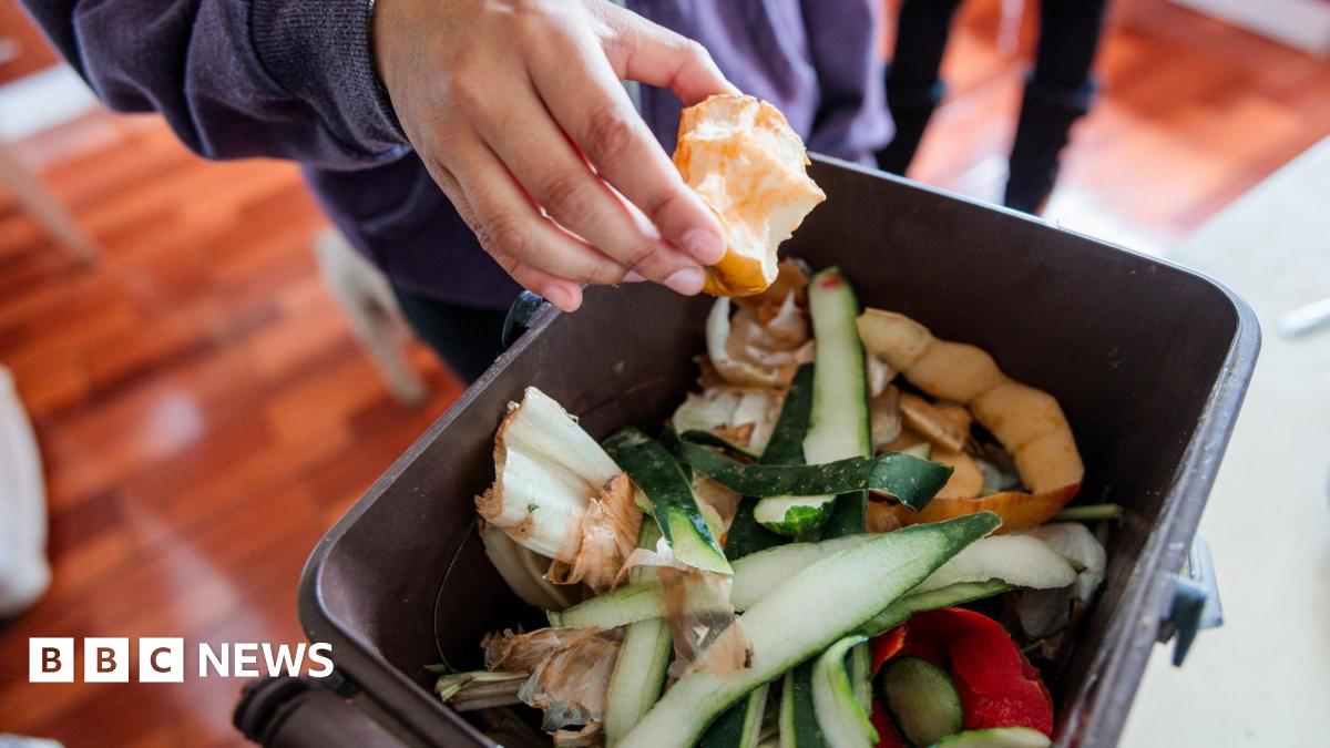 bbc.co.uk - Grace Wood - Food waste collections to begin in Bradford this autumn