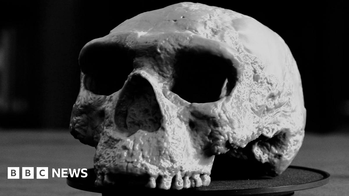 Million-year-old skull rewrites human evolution, say scientists
