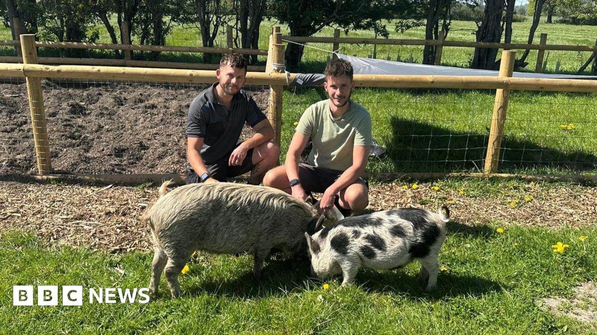 bbc.co.uk - Clare Ashford - Pair leave corporate life for pig farming in Shropshire