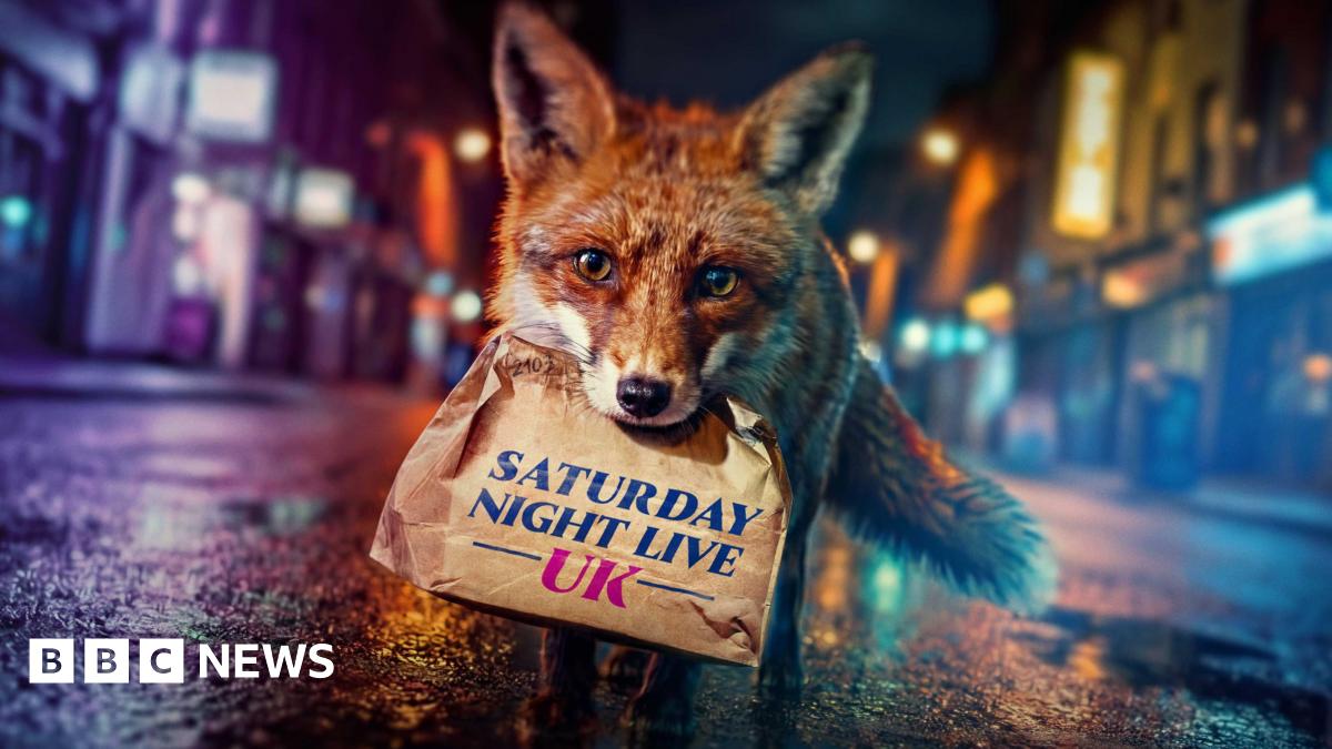 Saturday Night Live UK: Can it make Britons laugh?