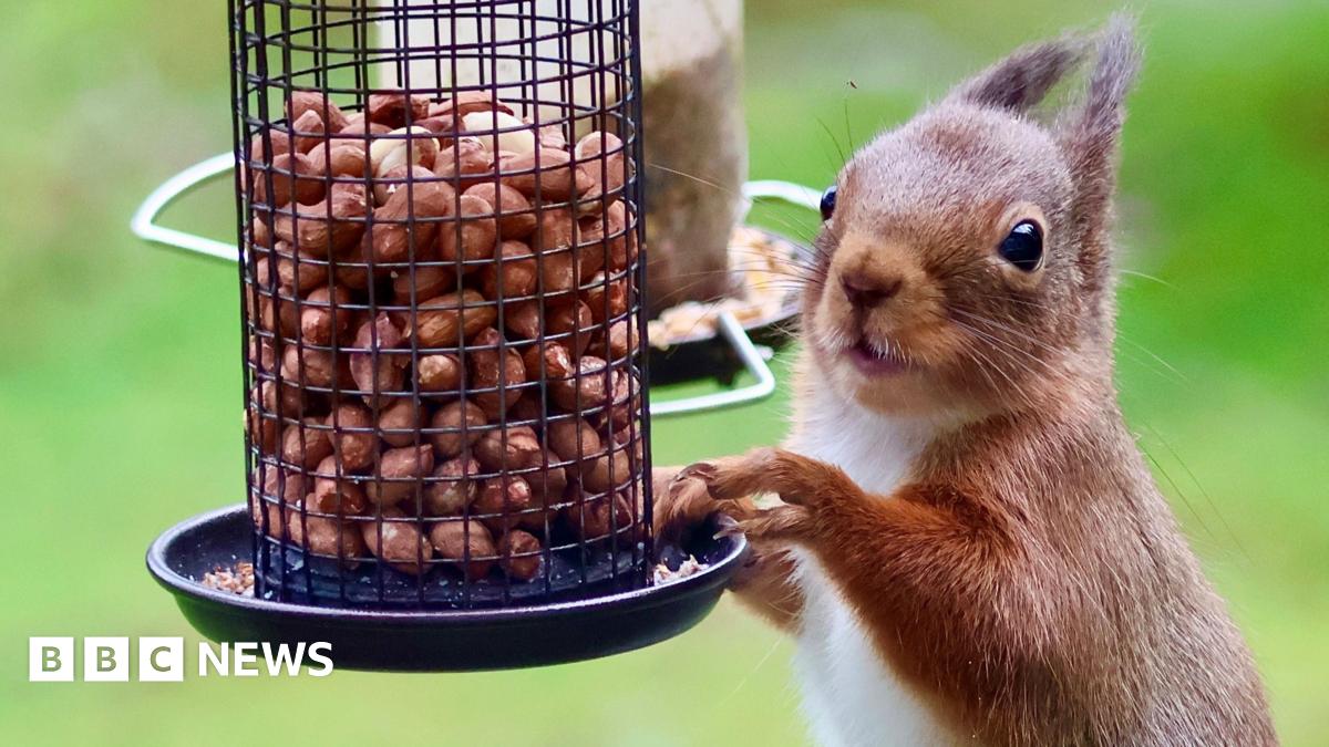 Your pictures of Scotland: Photographs from around the country