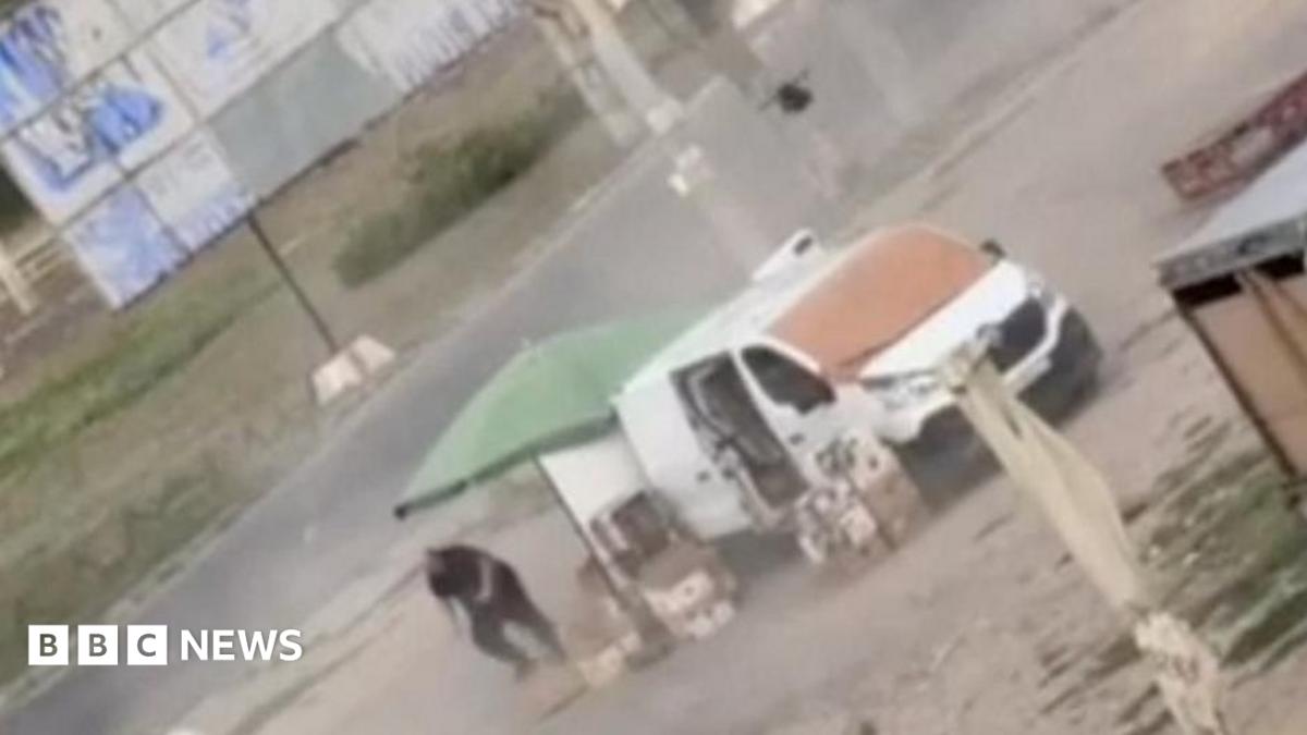 Video shows Russian drone chasing Ukrainian street vendor in 'human safari' attack
