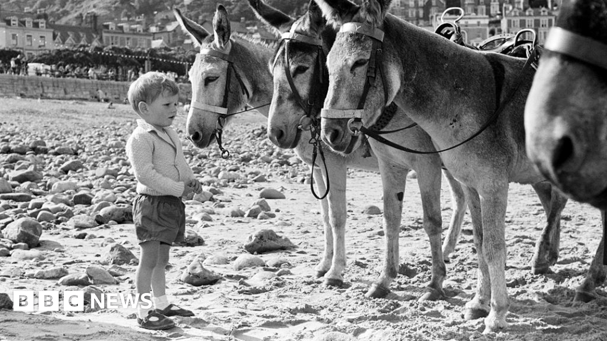 bbc.co.uk - Natalie Grice - Are Wales' beach donkeys a thing of the past after latest council ban?