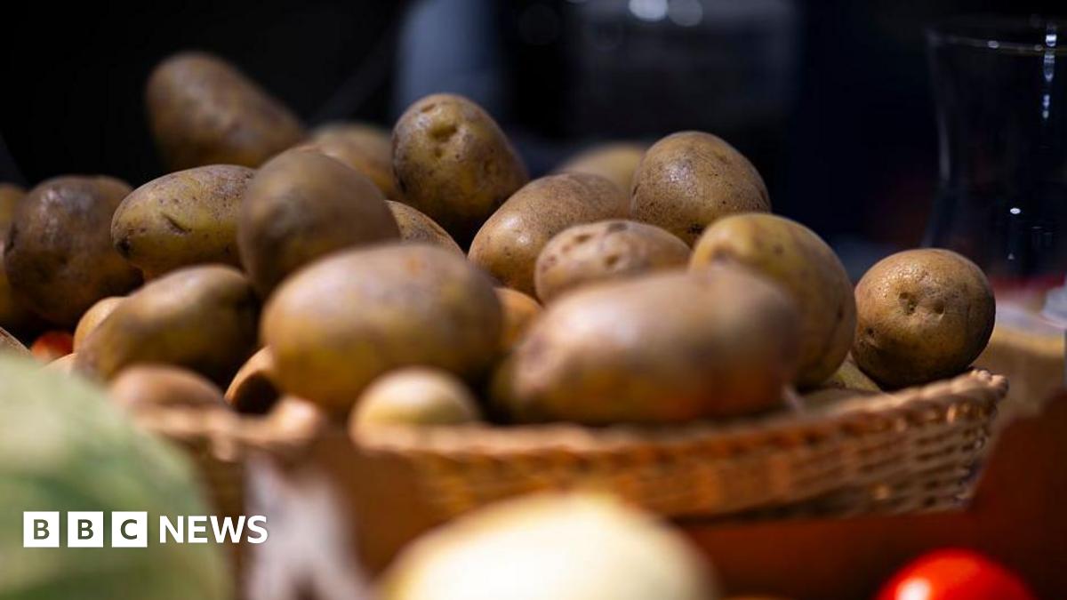 German farm gives away millions of potatoes after bumper harvest
