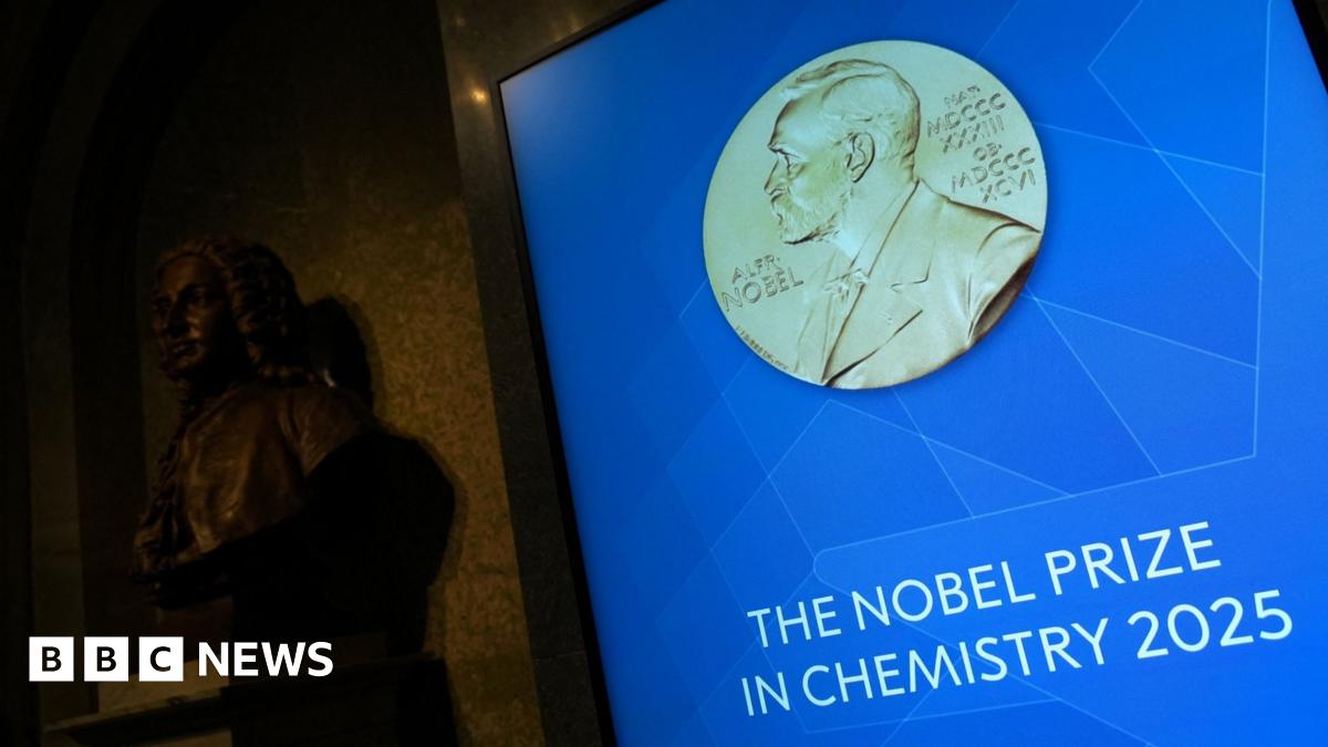 Chemistry Nobel awarded to three scientists for their work on metal organic frameworks