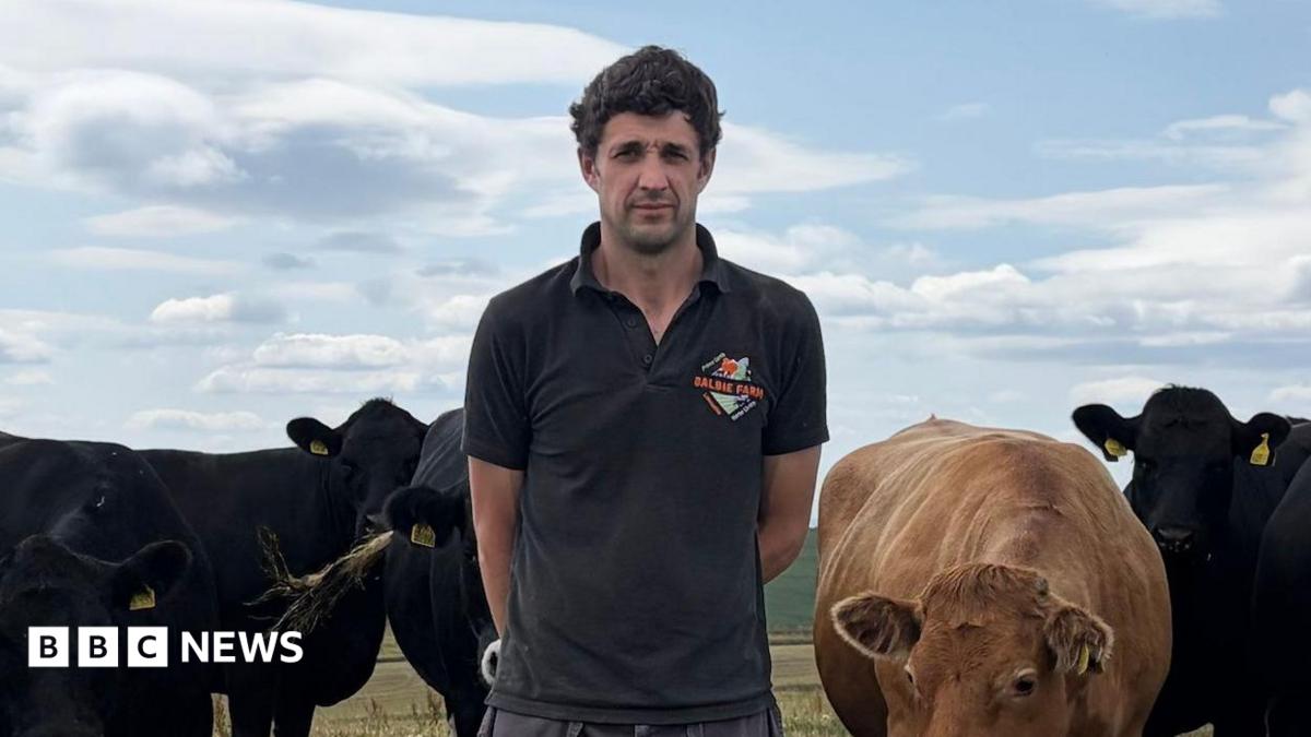 Warning after Fife calf choked to death on helium balloon