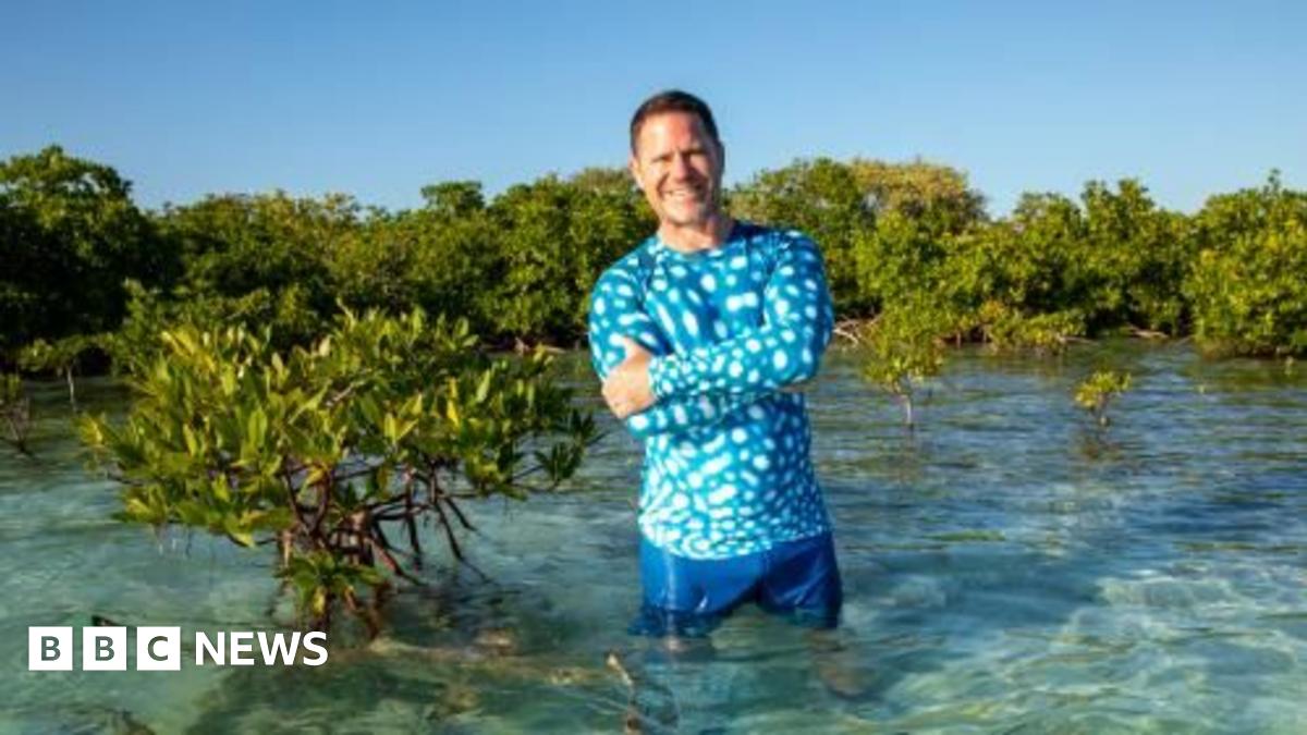 steve backshall