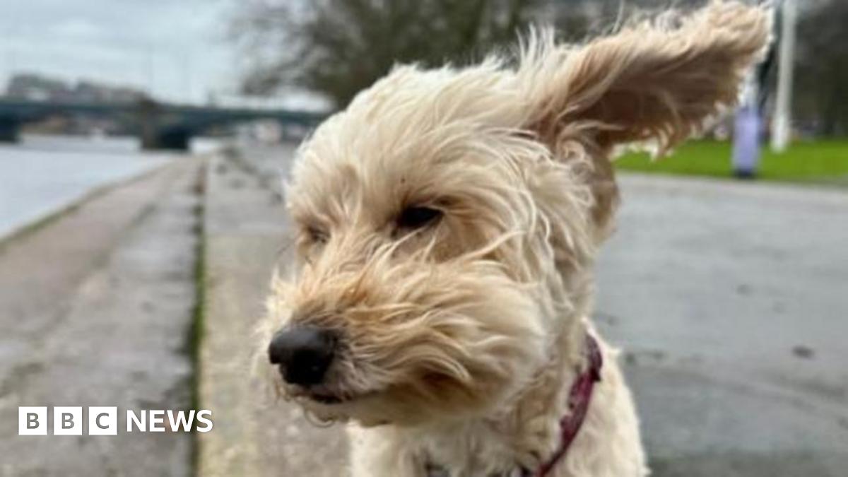 Storm Bram: Severe Weather Across UK