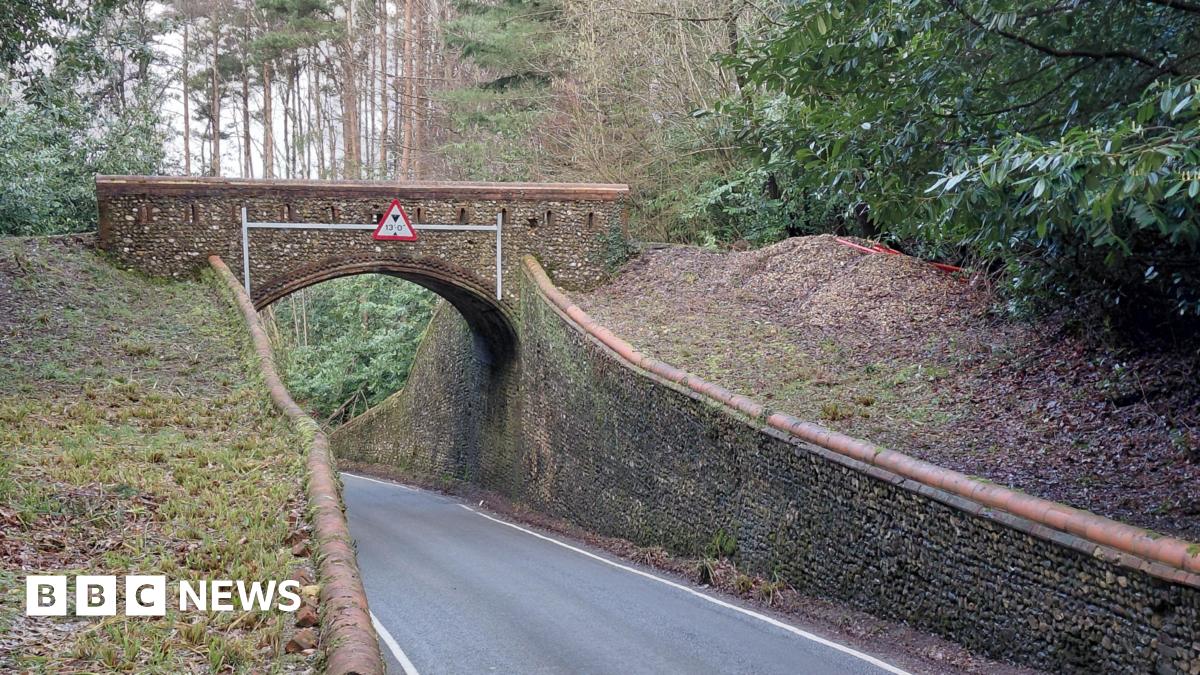 bbc.co.uk - Simon Furber - East Horsley's ornate Victorian bridges and their industrial past