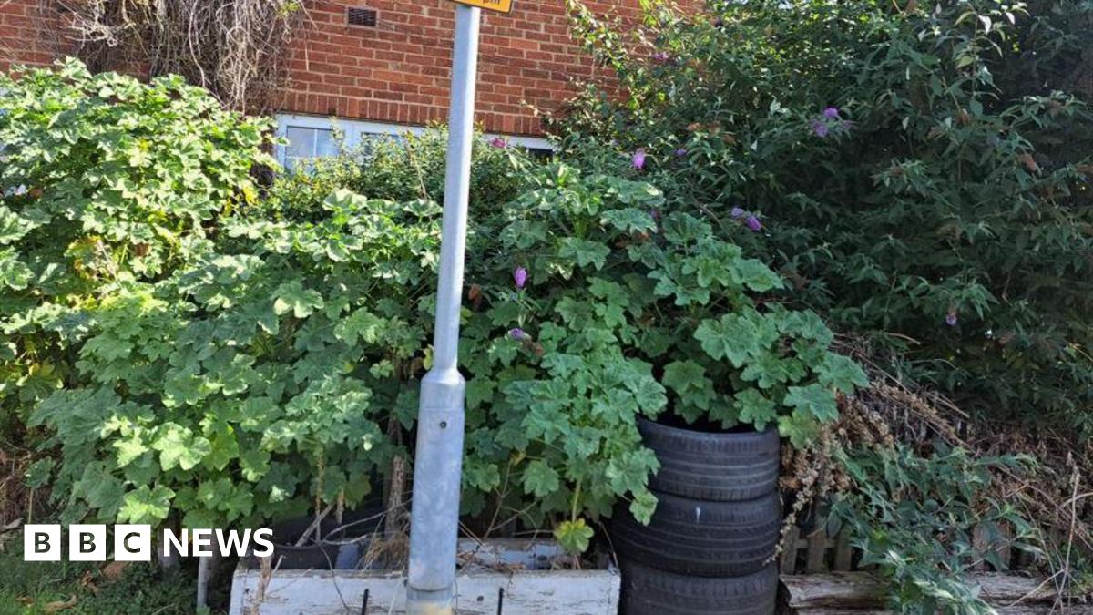 Melton Mowbray man prosecuted over 'nightmare' overgrown garden
