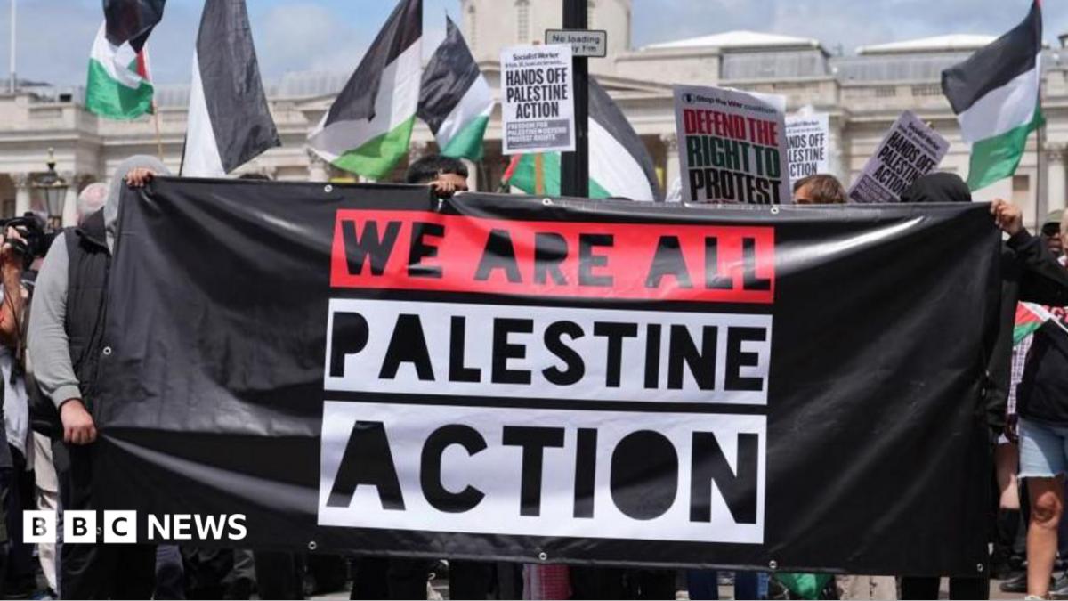 Palestine Action ban is lawful, Court of Appeal rules