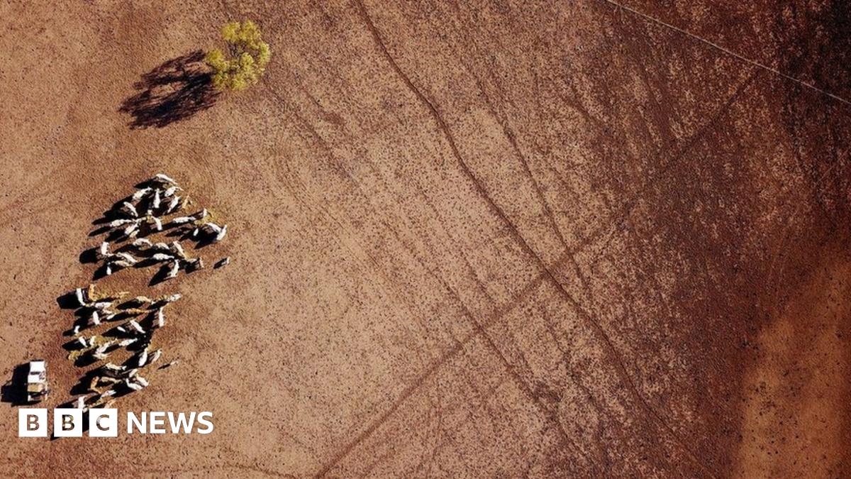 In Pictures Australia S Drought Seen From The Air Bbc News