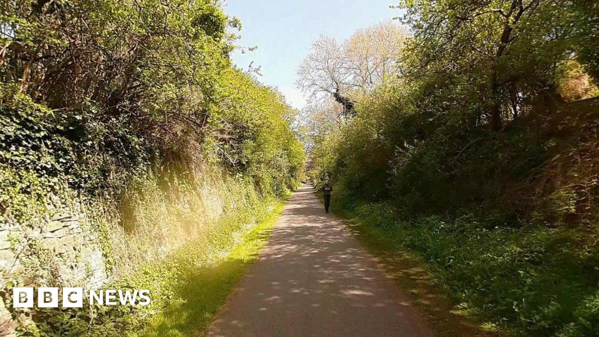Bristol to Bath cycle path: CCTV could be installed along 'Wild West ...