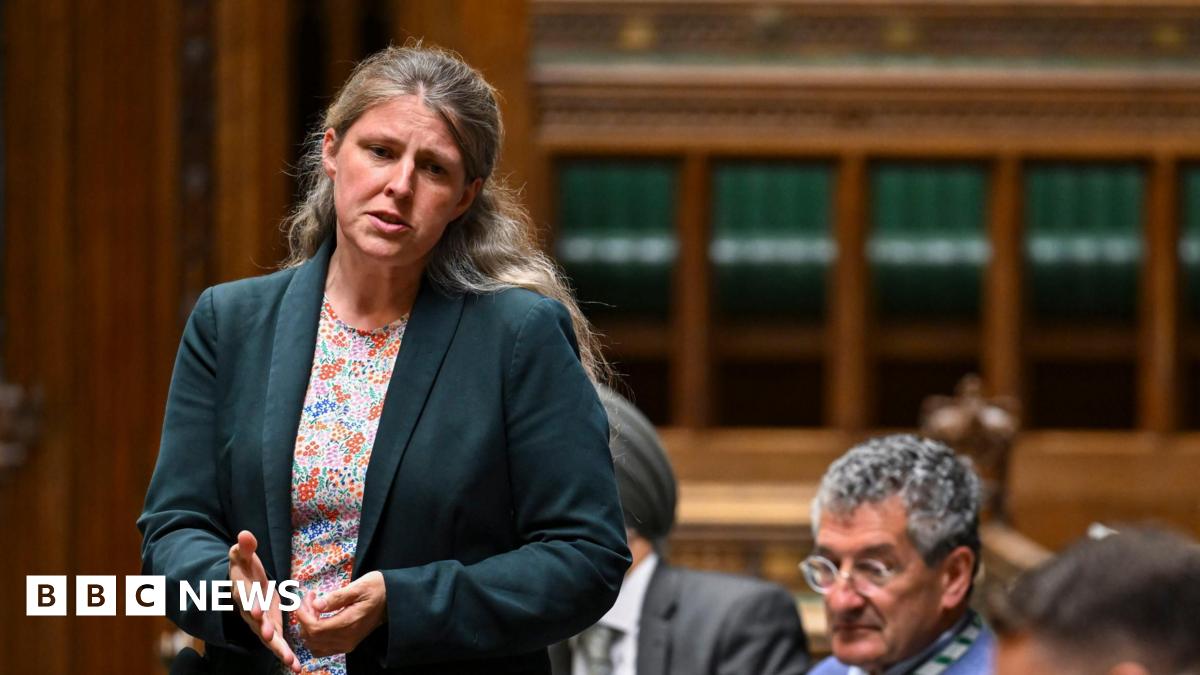 Rachael Maskell stands and gestures with her hand as she addresses the House of Commons. She has long, wavy blonde hair and wears a dark green jacket and a floral top. 