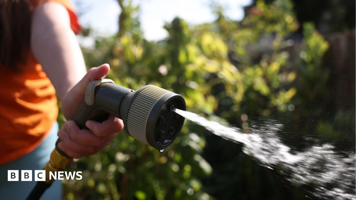 Essex & Suffolk Water brings in hosepipe ban