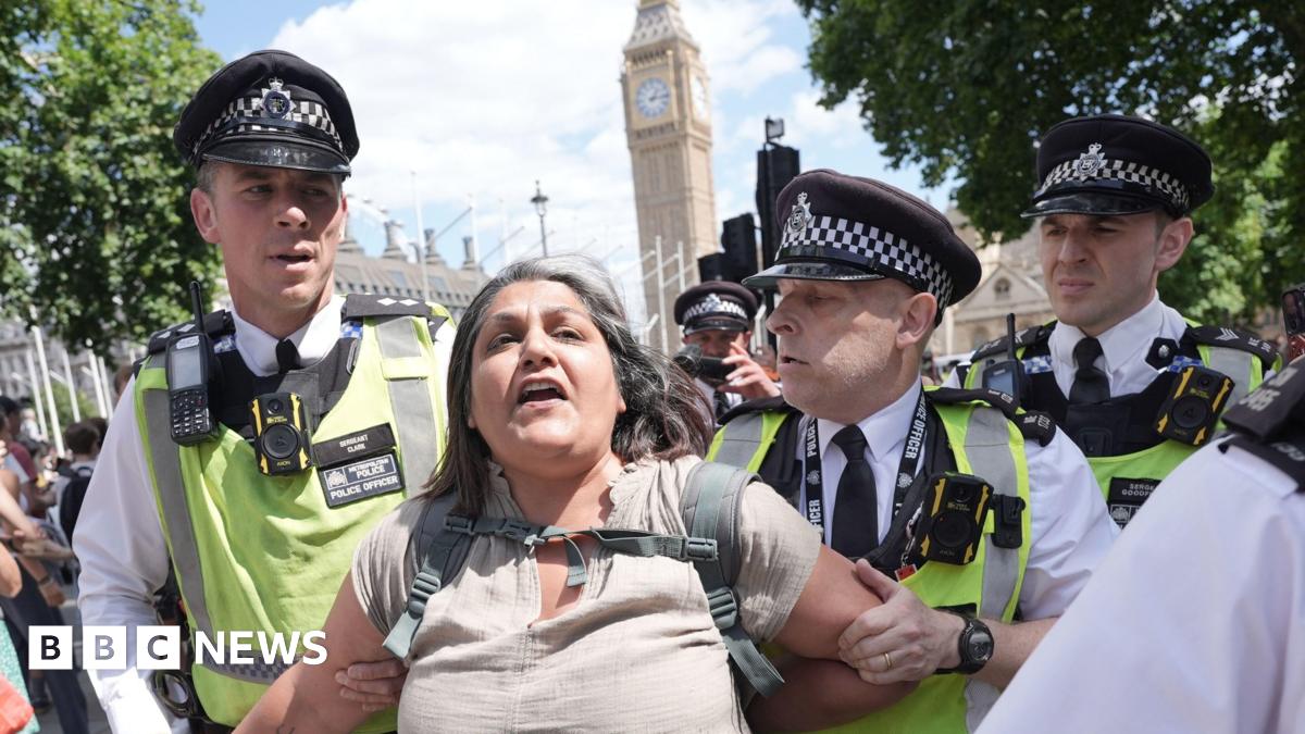 Palestine Action protesters arrested by police at London demo
