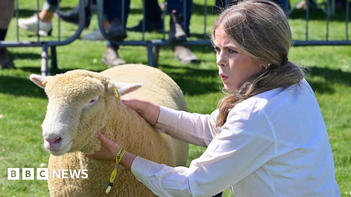 Balmoral Show 2026: Everything you need to know