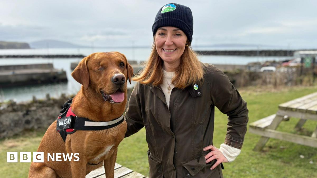 World-first as Rathlin Island is declared ferret free