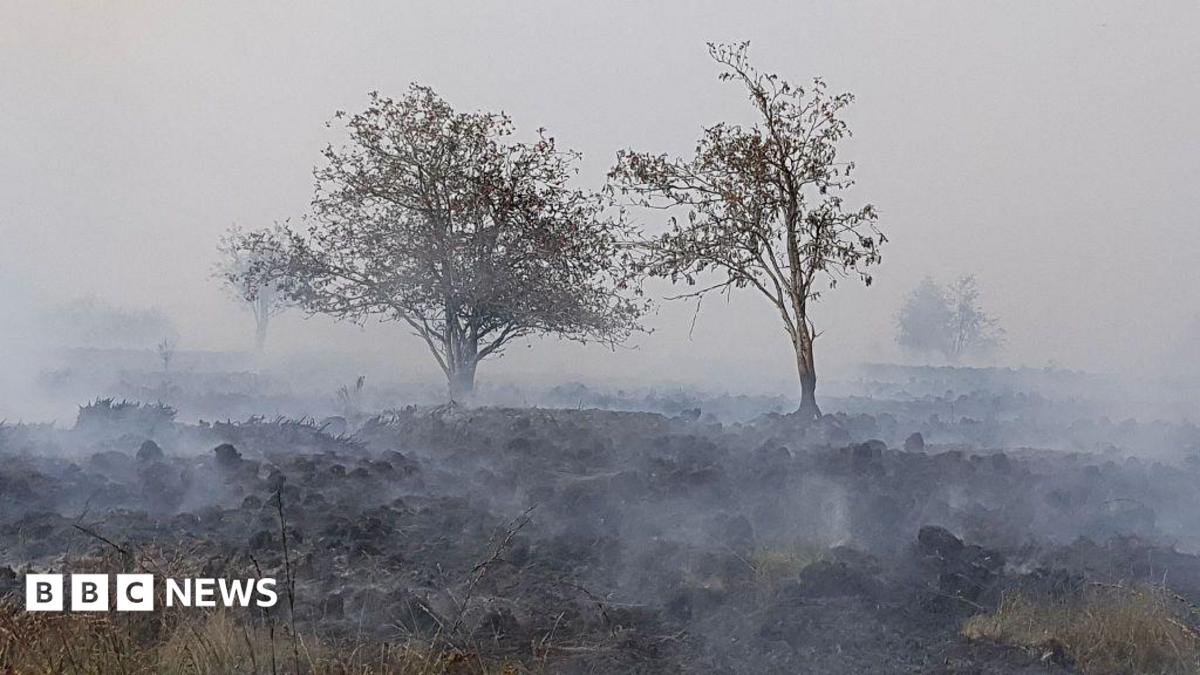 Belgian Nature Reserve Hit by Worst Wildfire in Recent History