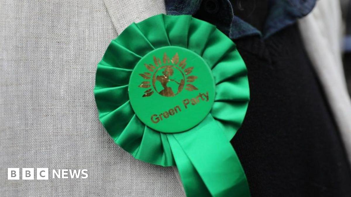 Green Party rosette