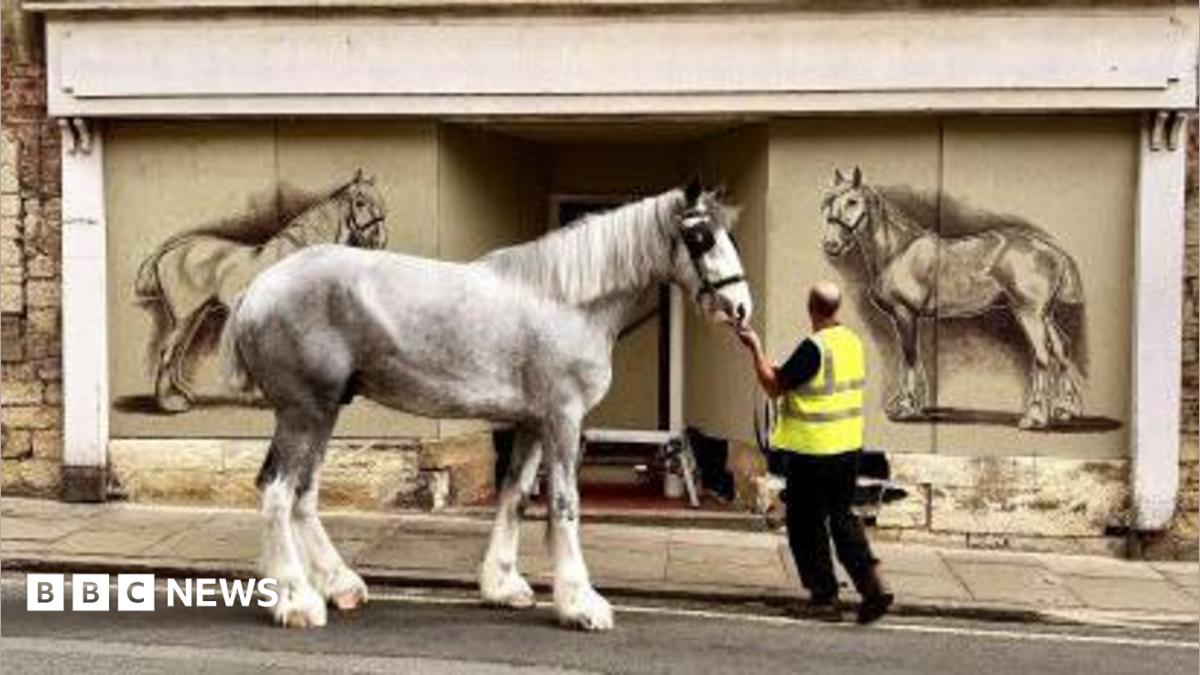 bbc.co.uk - Louise Fewster - Tadcaster artist paints mural of Sam Smith's Brewery horses