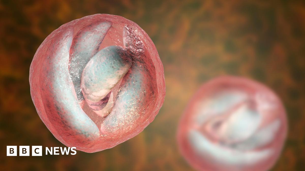 Cryptosporidium: open farm day visitors warned over parasite risk