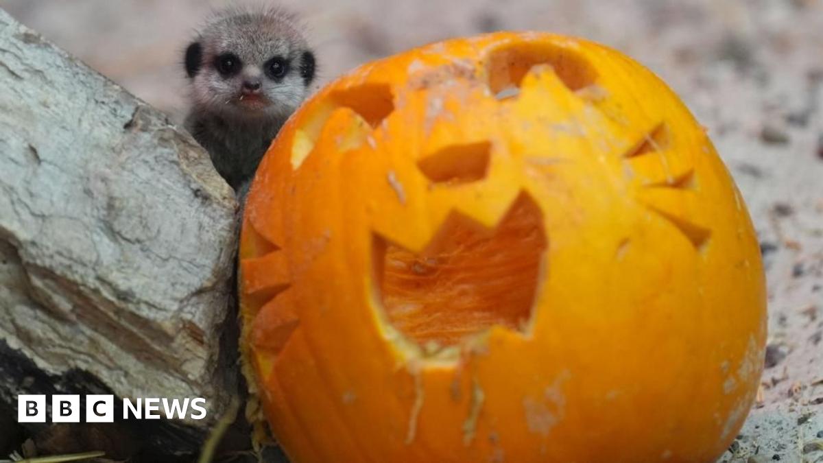 Halloween 2025: Radio 1 to reveal spooky game as you share your night plans