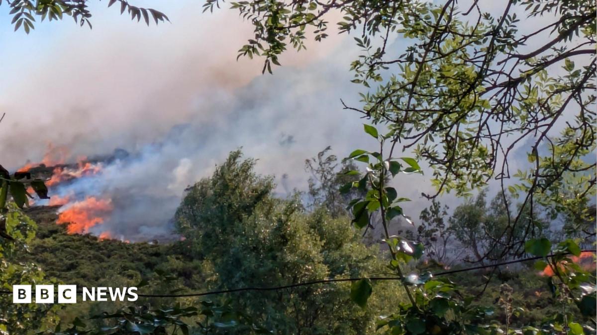 خانواده‌ها در مواجهه با آتش‌سوزی کوهستانی: فرار سریع و لحظات پرتنش