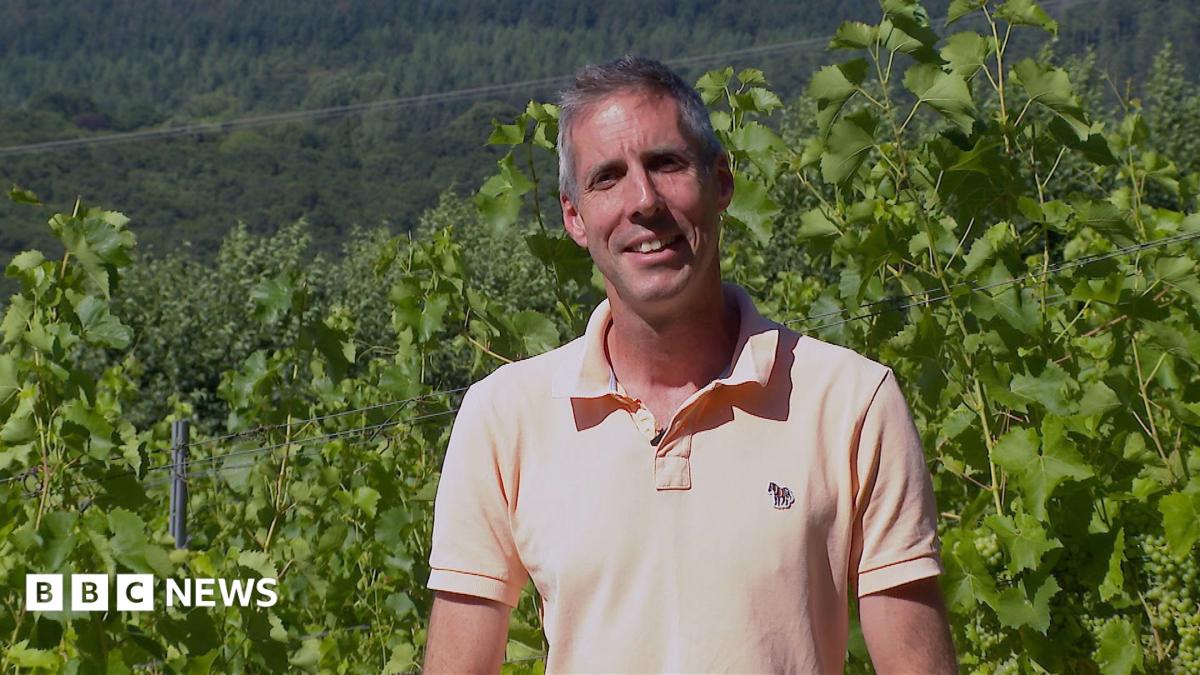 bbc.co.uk - Andrea Ormsby - Heat putting South West's winemakers in 'uncharted territory