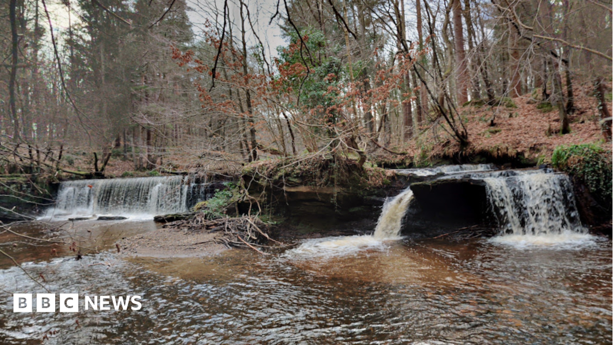 Girl, 11, found dead after major search launched at beauty spot