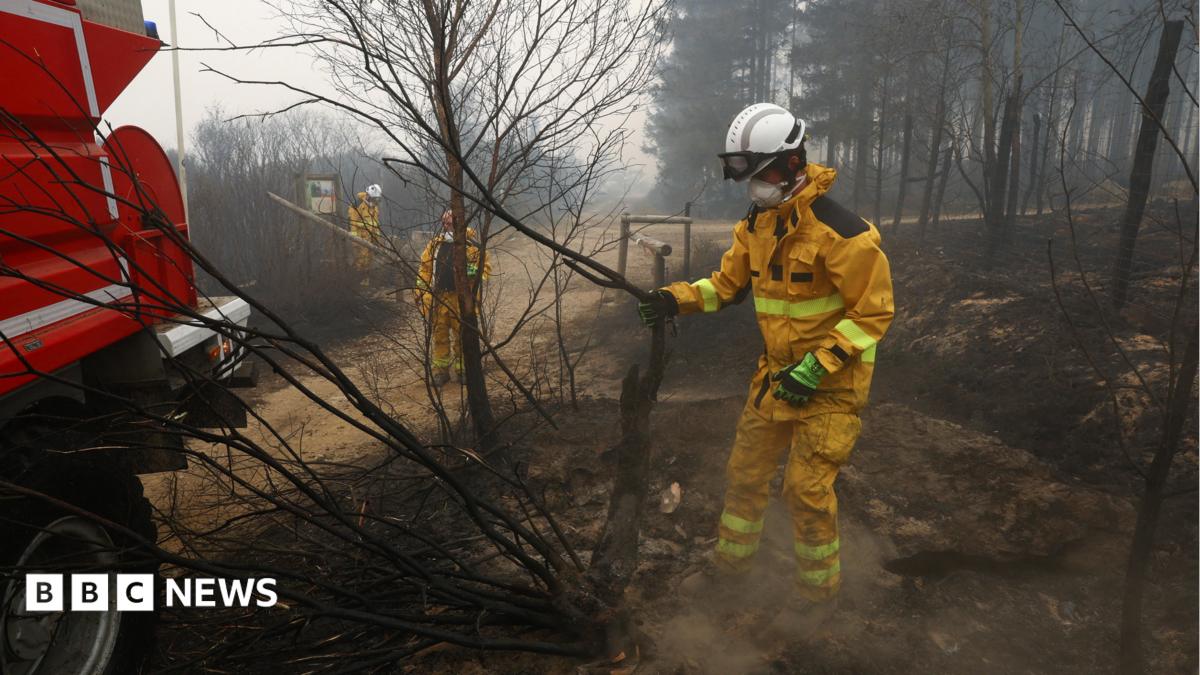 Belgian wildfire doubles in size on third day tearing through nature reserve