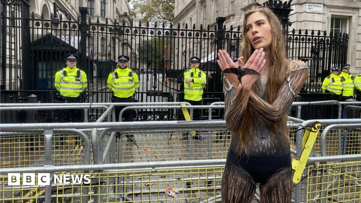 Naked body paint spy eye  Woman marches through London in body paint to save birds - BBC News