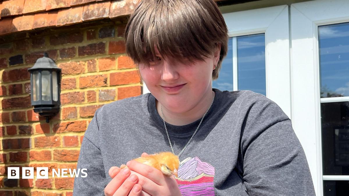 Helping on the farm reaps mental health benefits