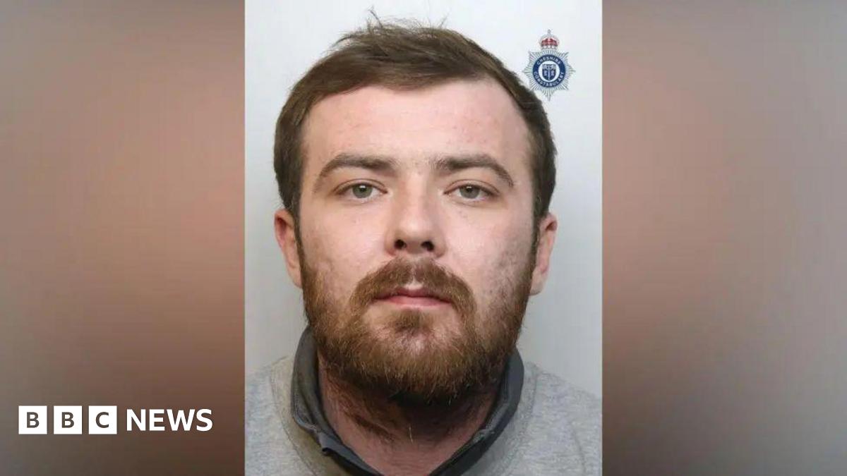 XL bully owner jailed after man, 84, fatally mauled