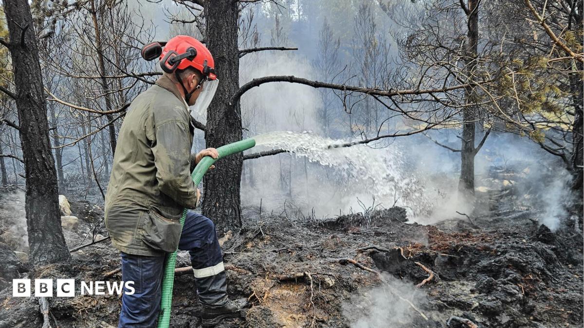 Firms hit by Cairngorms wildfire offered support from £3m fund
