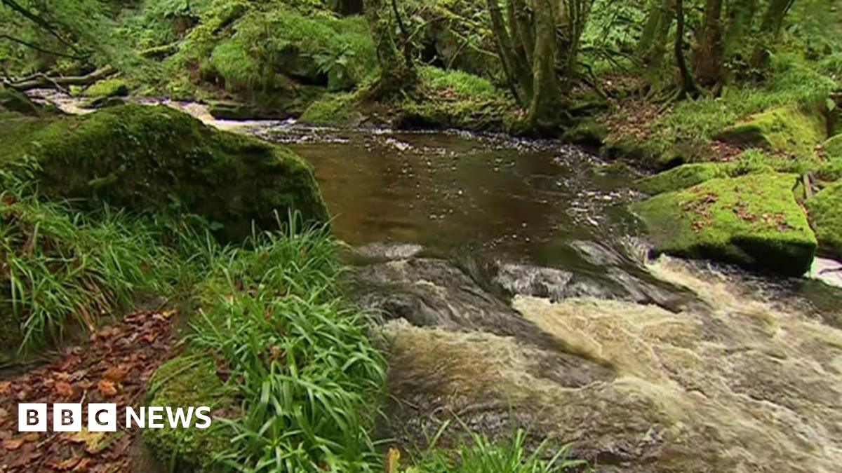 Scrapping pollution rules is 'backward step' for rivers - BBC News