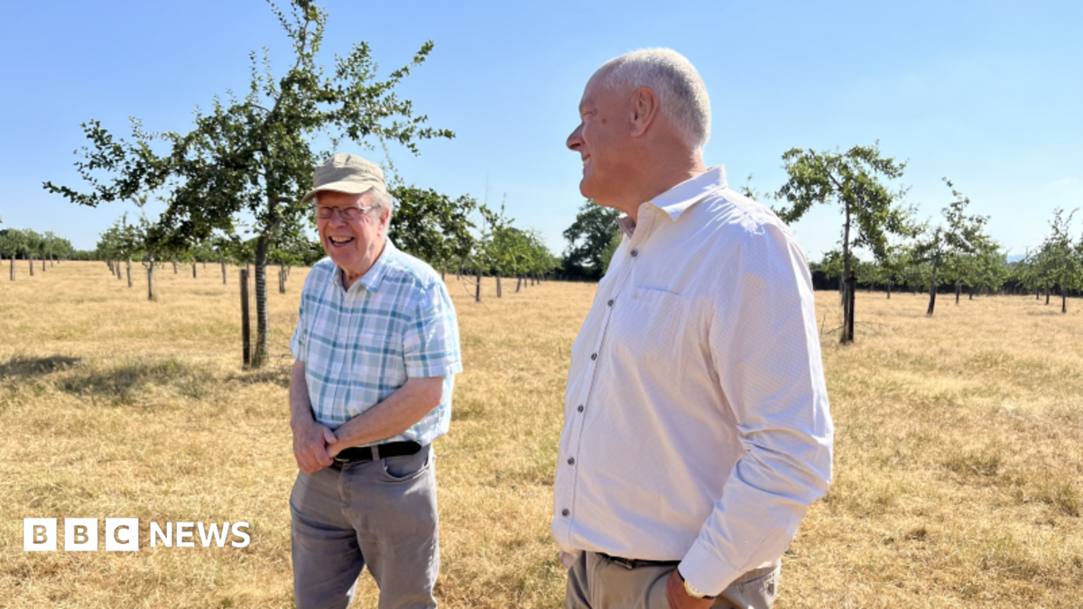 How cider 'gene bank' in Herefordshire branched out to awards
