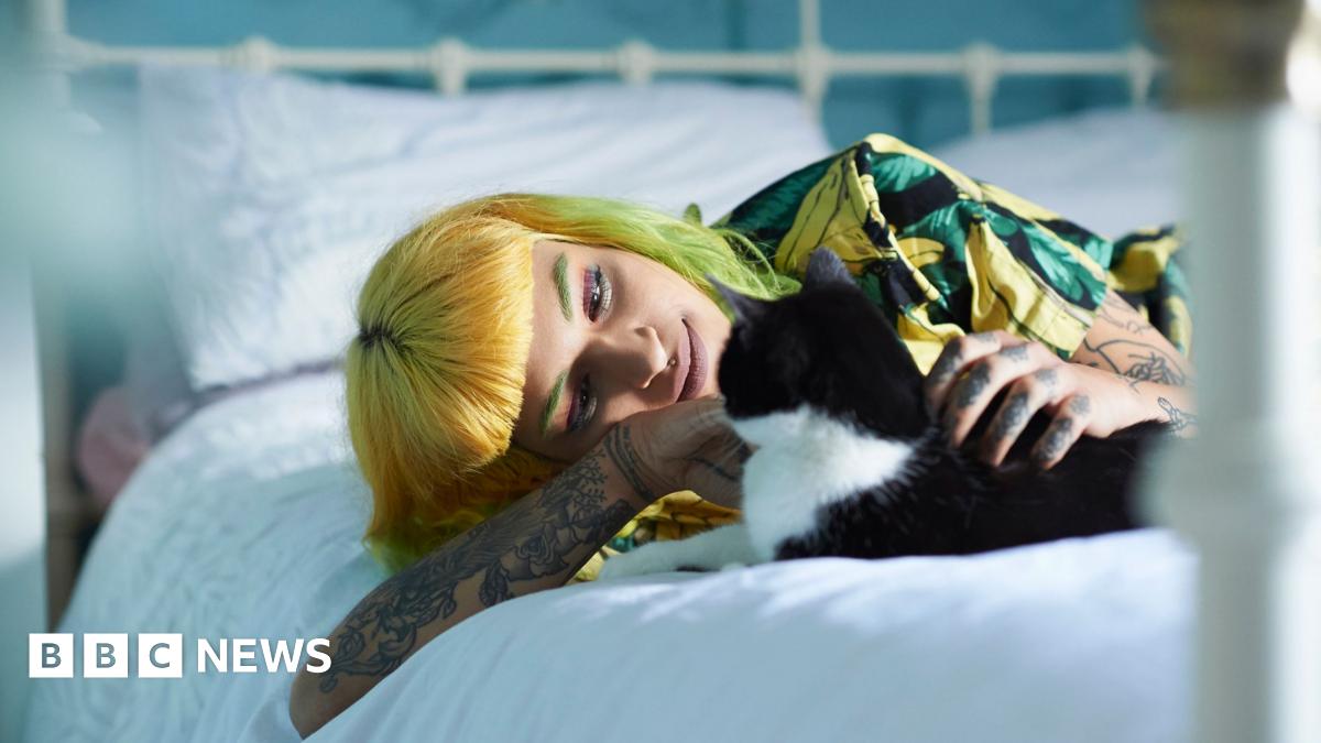 When can landlords increase rent? Can I get a cat? Your questions answered on renters' rights changes