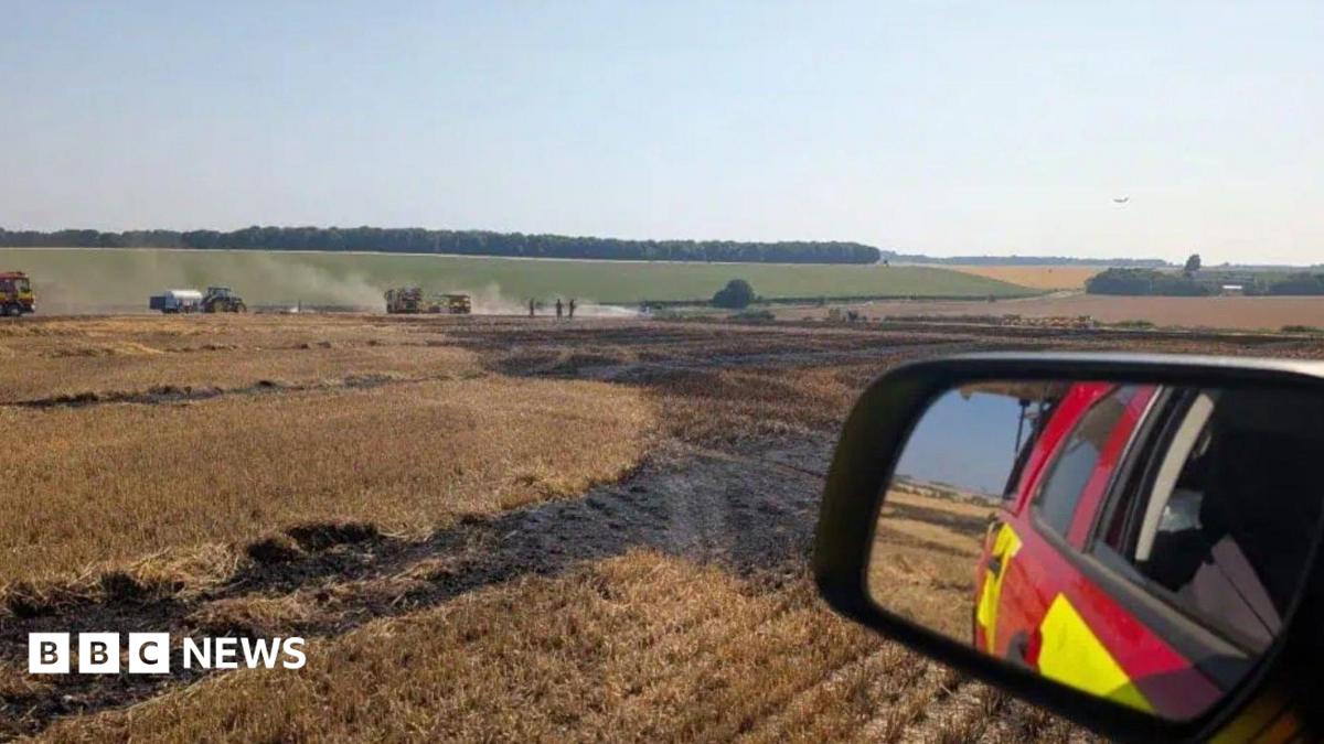 Service called to more than 250 wildfires this year