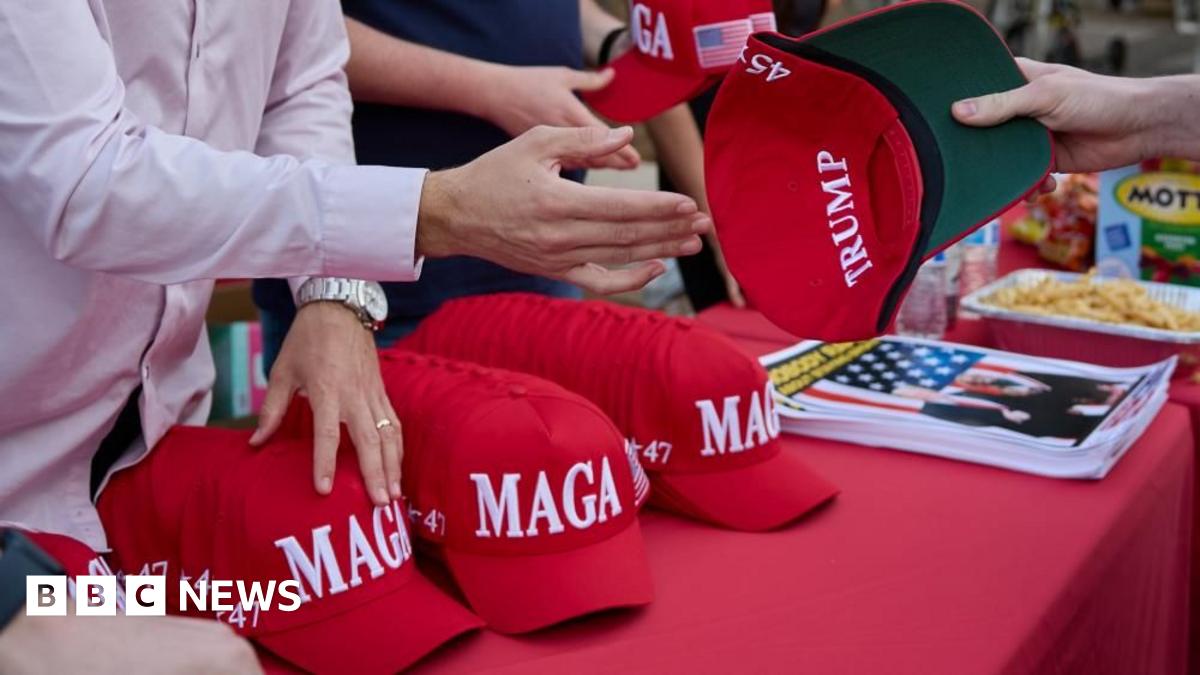 Epstein Fallout: How the Case is Dividing Trump's Online Supporters and Fueling Conspiracy Theories