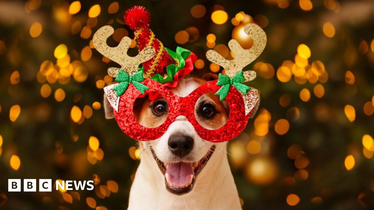 Norfolk Christmas news quiz of the year 2025