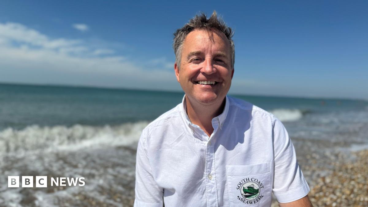 bbc.co.uk - George Carden - I want to plant Sussex's first seaweed farm