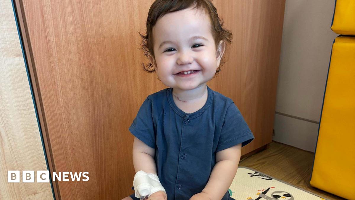 Lab-grown food pipe implanted in pigs offers new hope for young patients