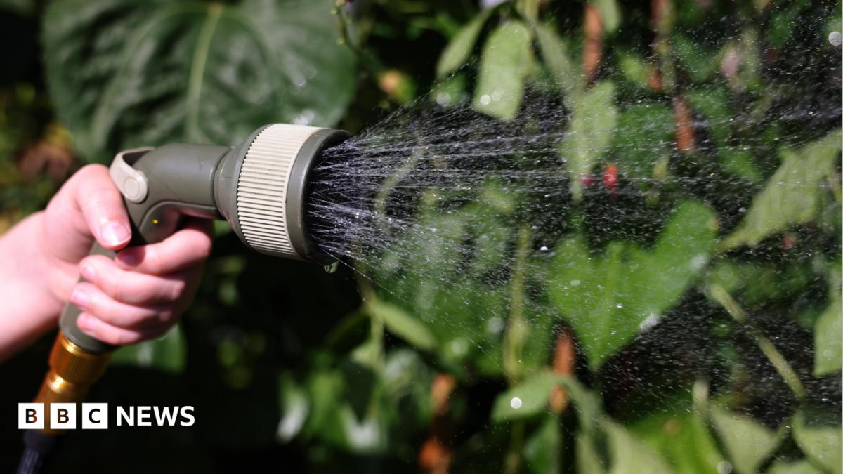 Yorkshire Water urges 'wise' usage during heatwave