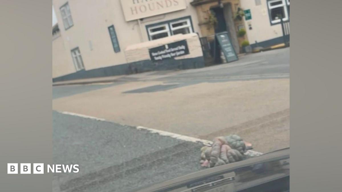 bbc.co.uk - Grace Wood - West Yorkshire offal spill was 'like a horror film', says driver