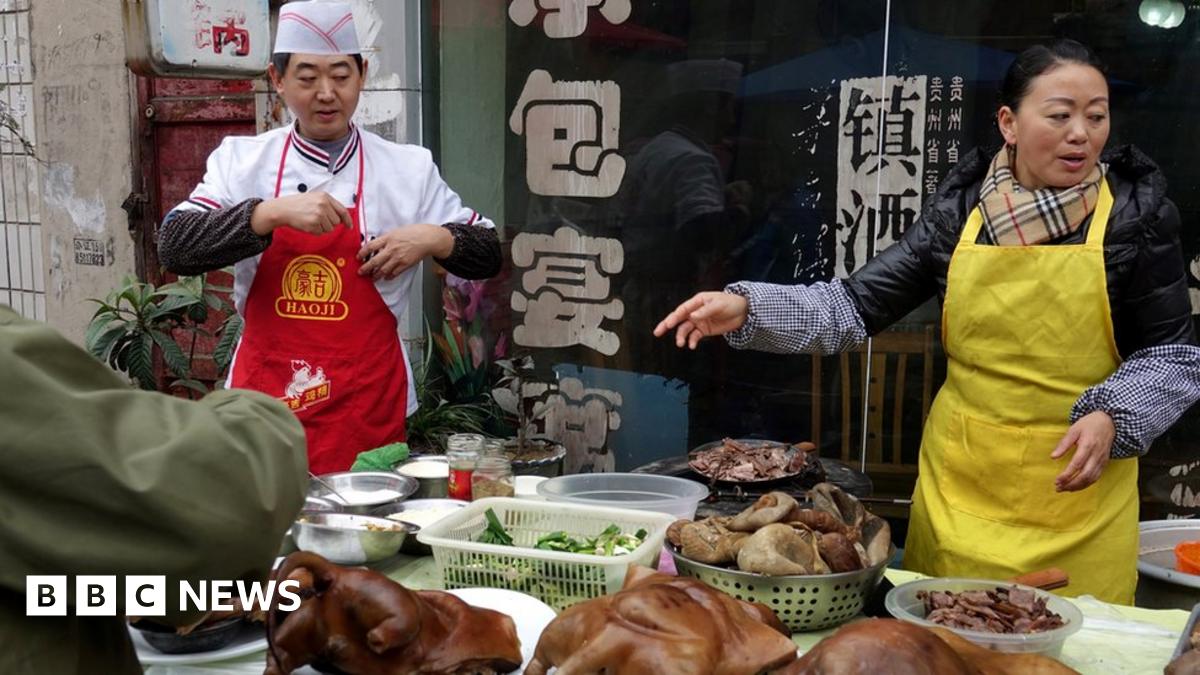 Cat meat chinese food best sale