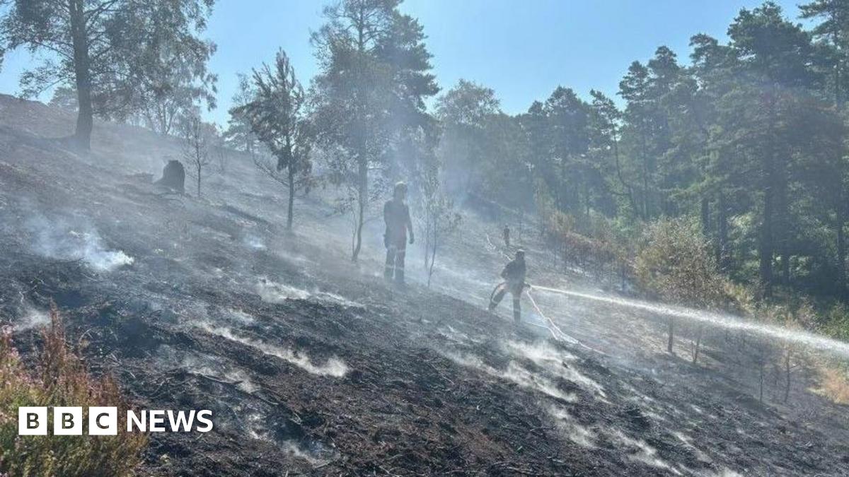 Hankley Common habitat fears after wildfire sweeps through