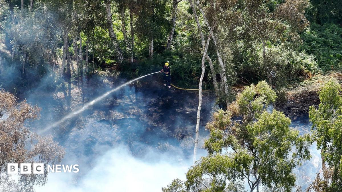 Firefighters face extreme conditions battling deep-seated peatland fires